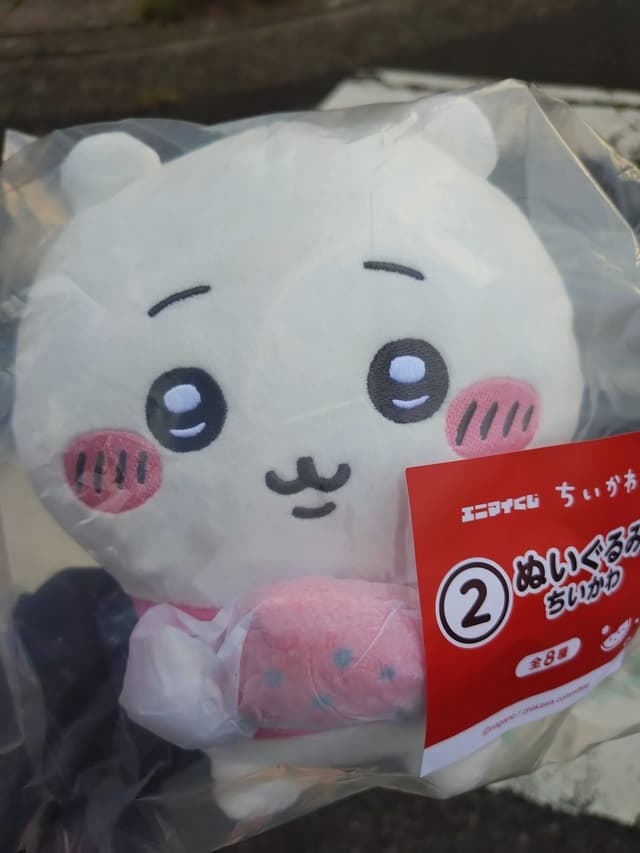 いつも君が来るね