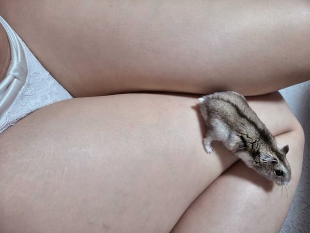 ナイショの日記